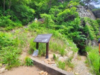 8월29일 (토) 왕피천 봇 도랑길(은어길)+ 성류굴_망양대 ㅁ - ◈8월 여행지 예약◈ - 솔뫼 여행과 사람들 8월29일 (토) 왕피천 봇 도랑길(은어길)... 