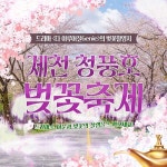 청풍호 벚꽃축제 - 일반 게시판 - 천주교 청풍공소 청풍호 벚꽃축제