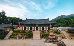 25(토) 경상남도 합천군 가야산 정기산행 신청(오전 4시 출발) - 정기산행신청 - 춘천거북이산악회 2026. 4. 25(토) 경상남도 합천군 가야산... 