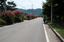 대상40 산악회 가치산 산행 - 2022. 7.10. - 2부 - 산악회(본부) - 대상40회 대상40 산악회 가치산 산행 - 2022. 7.10. - 2부
