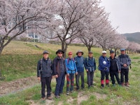 1.밀양역-삼문동,가곡 둔치공원-예림교-밀양대교-밀양강 삼상잠수교(23,3,26) - 산악회(본부) - 대상40회 1.밀양역-삼문동,가곡 둔치공원... 