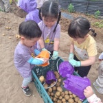 🥔감자 오감놀이 - ★어린이집 행사사진★ - 꼬마동산 어린이집 🥔감자 오감놀이