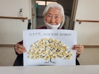 연화마을에 봄봄봄~봄이 왔어요~♥ - 연화마을 사진첩 - 춘천 연화마을 춘천 연화마을