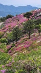 백양산 - 앨범 - 부산 한마음산악회 백양산