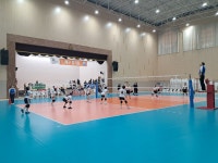 제61회 강원도민체전 6.13~16(동해시 북평고 체육관) - 전문체육대회 - 강원특별자치도배구협회 제61회 강원도민체전 6.13~16(동해시 북평고... 