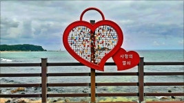 제223차 강원 고성지역 정기답사 안내 - 알림 소식방 - 충주전통문화회 제223차 강원 고성지역 정기답사 안내