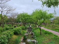 6월27일 거창 감악산 & 창포원 수변생태공원 - ▶ 산행예약 - 청주 금요 우리산악회 6월27일 거창 감악산 & 창포원 수변생태공원