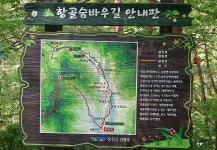 25년 7월 4일 원시의 신비 숨어있는 정선 항골 숨바우길 트레킹 - ▶ 산행예약 - 청주 금요 우리산악회 25년 7월 4일 원시의 신비 숨어있는 정선... 