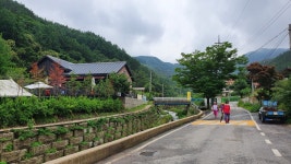 완주 편백숲 - ▶ 사진공간 - 청주 금요 우리산악회 완주 편백숲
