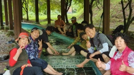 완주 편백숲 - ▶ 사진공간 - 청주 금요 우리산악회 완주 편백숲