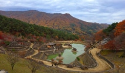 25년 10월17일 지리산 청학동 삼신봉& 삼성궁 - ▶ 산행예약 - 청주 금요 우리산악회 25년 10월17일 지리산 청학동 삼신봉& 삼성궁