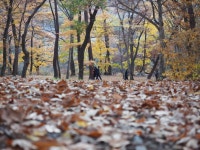 제333차 2024년11월 정기산행(천황산) - 정기산행공지 - 안동한마음산악회 제333차 2024년11월 정기산행(천황산)