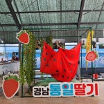 2024금샘가족한마당 - 도서관/공동체 소식/행사 - 금샘마을도서관 2024금샘가족한마당