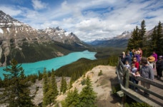 페이토호수 (Peyto Lake) - 캐나다 - 이야기가있는곳 - 내사랑등려군 페이토호수 (Peyto Lake) - 캐나다