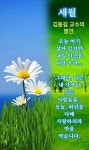 상대방이 되어 보는 것 - ▒☞ 좋은글과향기영상 - 커피향기영상천국 상대방이 되어 보는 것