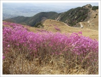 창녕 화왕산-상월옛길-배바위-장군바위능선 16 - 산행기 21(1001편~1050편) - 문지규의 산행이야기 창녕 화왕산-상월옛길-배바위... 