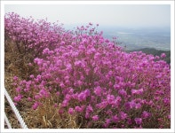 창녕 화왕산-상월옛길-배바위-장군바위능선 16 - 산행기 21(1001편~1050편) - 문지규의 산행이야기 창녕 화왕산-상월옛길-배바위... 