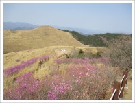 창녕 화왕산-상월옛길-배바위-장군바위능선 16 - 산행기 21(1001편~1050편) - 문지규의 산행이야기 창녕 화왕산-상월옛길-배바위... 