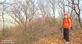 동암산-호봉산-왕마트-선포약수터 걷기운동(2026.3.27) - 2026 - 김상남 교수 카페 동암산-호봉산-왕마트-선포약수터 걷기운동(2026.3.27)