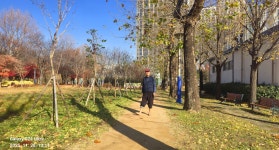 열우물경기장-호봉산-백운공원 나들이(2025.11.28) - 2025 - 김상남 교수 카페 열우물경기장-호봉산-백운공원 나들이(2025.11.28)