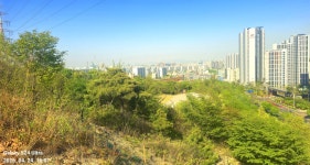 동암산-호봉산-왕마트-선포약수터 걷기운동(2026.4.24) - 2026 - 김상남 교수 카페 동암산-호봉산-왕마트-선포약수터 걷기운동(2026.4.24)