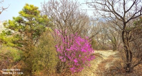 동암산-호봉산-왕마트-선포약수터 걷기운동(2026.3.27) - 2026 - 김상남 교수 카페 동암산-호봉산-왕마트-선포약수터 걷기운동(2026.3.27)