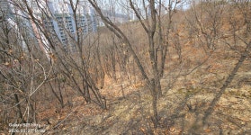 동암산-호봉산-왕마트-선포약수터 걷기운동(2026.3.27) - 2026 - 김상남 교수 카페 동암산-호봉산-왕마트-선포약수터 걷기운동(2026.3.27)