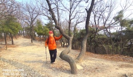 동암산-호봉산-왕마트-선포약수터 걷기운동(2026.3.27) - 2026 - 김상남 교수 카페 동암산-호봉산-왕마트-선포약수터 걷기운동(2026.3.27)