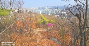 동암산-호봉산-왕마트-선포약수터 걷기운동(2026.3.27) - 2026 - 김상남 교수 카페 동암산-호봉산-왕마트-선포약수터 걷기운동(2026.3.27)