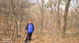 동암산-호봉산-왕마트-선포약수터 걷기운동(2026.3.27) - 2026 - 김상남 교수 카페 동암산-호봉산-왕마트-선포약수터 걷기운동(2026.3.27)