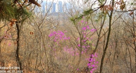 동암산-호봉산-왕마트-선포약수터 걷기운동(2026.3.27) - 2026 - 김상남 교수 카페 동암산-호봉산-왕마트-선포약수터 걷기운동(2026.3.27)