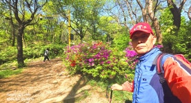 동암산-호봉산-왕마트-선포약수터 걷기운동(2026.4.24) - 2026 - 김상남 교수 카페 동암산-호봉산-왕마트-선포약수터 걷기운동(2026.4.24)