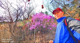 동암산-호봉산-왕마트-선포약수터 걷기운동(2026.3.27) - 2026 - 김상남 교수 카페 동암산-호봉산-왕마트-선포약수터 걷기운동(2026.3.27)