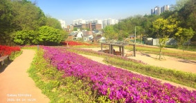동암산-호봉산-왕마트-선포약수터 걷기운동(2026.4.24) - 2026 - 김상남 교수 카페 동암산-호봉산-왕마트-선포약수터 걷기운동(2026.4.24)