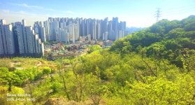 동암산-호봉산-왕마트-선포약수터 걷기운동(2026.4.24) - 2026 - 김상남 교수 카페 동암산-호봉산-왕마트-선포약수터 걷기운동(2026.4.24)