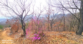 동암산-호봉산-왕마트-선포약수터 걷기운동(2026.3.27) - 2026 - 김상남 교수 카페 동암산-호봉산-왕마트-선포약수터 걷기운동(2026.3.27)