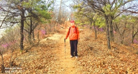 동암산-호봉산-왕마트-선포약수터 걷기운동(2026.3.27) - 2026 - 김상남 교수 카페 동암산-호봉산-왕마트-선포약수터 걷기운동(2026.3.27)