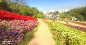 동암산-호봉산-왕마트-선포약수터 걷기운동(2026.4.24) - 2026 - 김상남 교수 카페 동암산-호봉산-왕마트-선포약수터 걷기운동(2026.4.24)