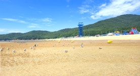 하나개 해수욕장 뻘길걷기 및 해수욕 (인천공항 1터미널-무의도)... 24 - 2025 - 김상남 교수 카페 하나개 해수욕장 뻘길걷기 및 해수욕... 