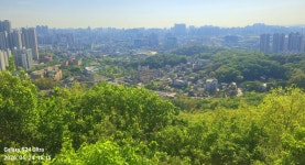 동암산-호봉산-왕마트-선포약수터 걷기운동(2026.4.24) - 2026 - 김상남 교수 카페 동암산-호봉산-왕마트-선포약수터 걷기운동(2026.4.24)