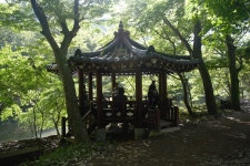 상사화...야속함이 꽃으로 피어나다. 2 - ◈─……― 동창회 사진 - 보은산외초등학교46회 상사화...야속함이 꽃으로 피어나다. 2