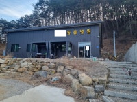 빵순이를 보내고 - * 자유 게시판 [질문금지] - 덕 구 불 독 [ 생산업 등록 불독랭킹1위 ] 빵순이를 보내고