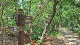 포항 천마지에서 소티재까지 - ★산행 사진방 - 경북기계공고1회 포항 천마지에서 소티재까지