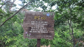 포항 천마지에서 소티재까지 - ★산행 사진방 - 경북기계공고1회 포항 천마지에서 소티재까지