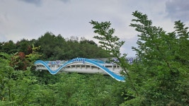 포항 소티재~아치재~연화재~부학산 - ★산행 사진방 - 경북기계공고1회 포항 소티재~아치재~연화재~부학산