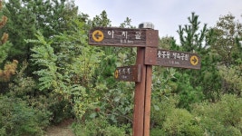 포항 소티재~아치재~연화재~부학산 - ★산행 사진방 - 경북기계공고1회 포항 소티재~아치재~연화재~부학산