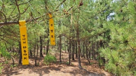 포항 천마지에서 소티재까지 - ★산행 사진방 - 경북기계공고1회 포항 천마지에서 소티재까지