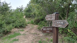 포항 소티재~아치재~연화재~부학산 - ★산행 사진방 - 경북기계공고1회 포항 소티재~아치재~연화재~부학산