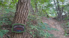 포항 소티재~아치재~연화재~부학산 - ★산행 사진방 - 경북기계공고1회 포항 소티재~아치재~연화재~부학산