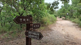 포항 소티재~아치재~연화재~부학산 - ★산행 사진방 - 경북기계공고1회 포항 소티재~아치재~연화재~부학산